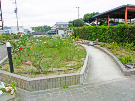バラ園
